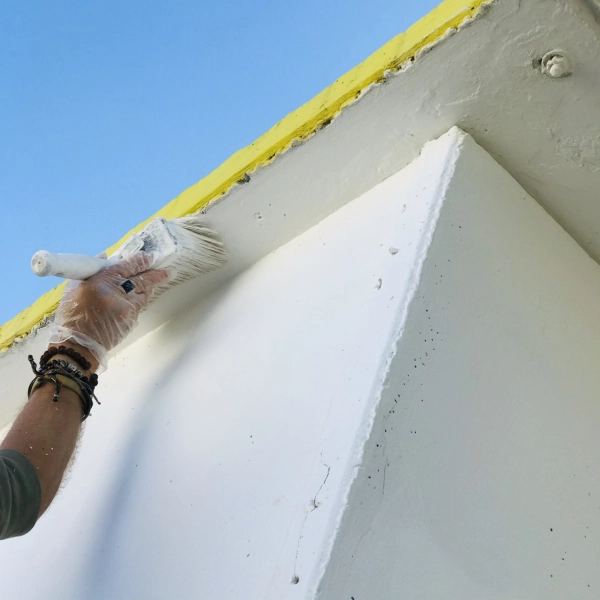 Exterior Painting (2)